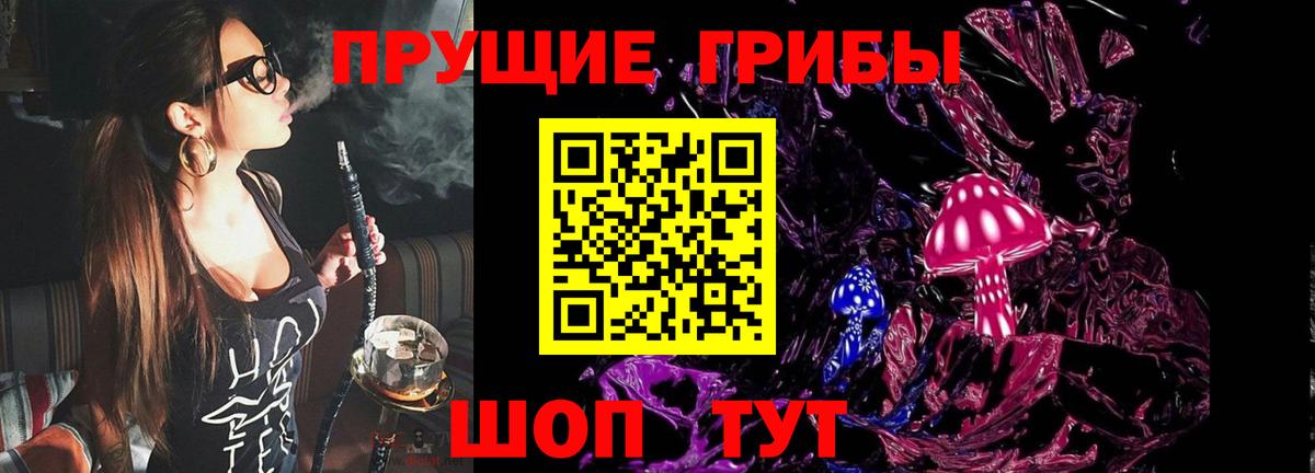 Псилоцибиновые грибы Psilocybine cubensis Владимир