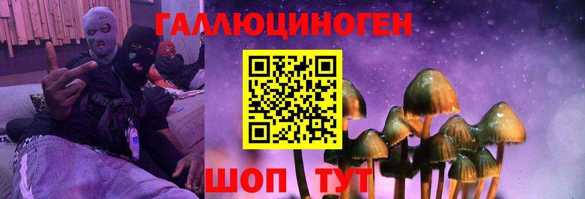 купить  сайты  Псилоцибиновые грибы Cubensis  Вход с VPN  Псилоцибиновые грибы Psilocybe  Владимир 